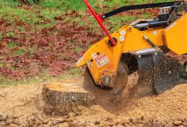 Best Aeration Services  in Oildale, CA