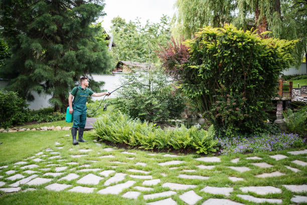 Best Tree Cabling and Bracing  in Oildale, CA